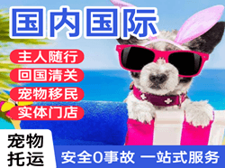 正定空运地址国际宠物托运 【国